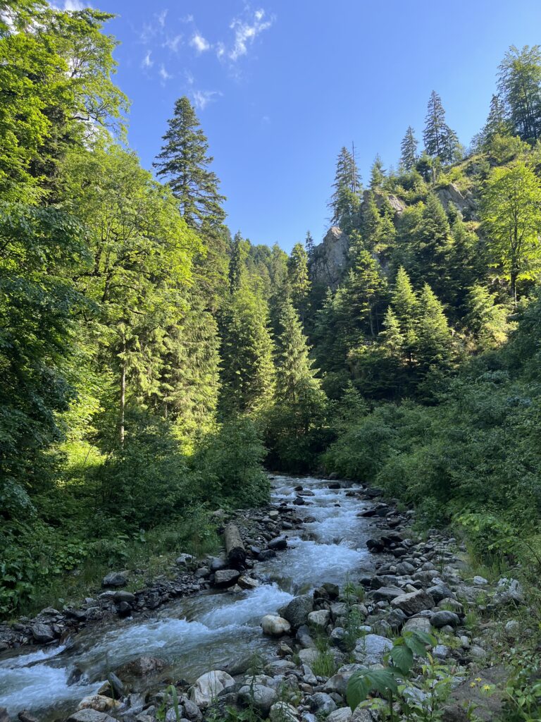 Carpathian-mountains