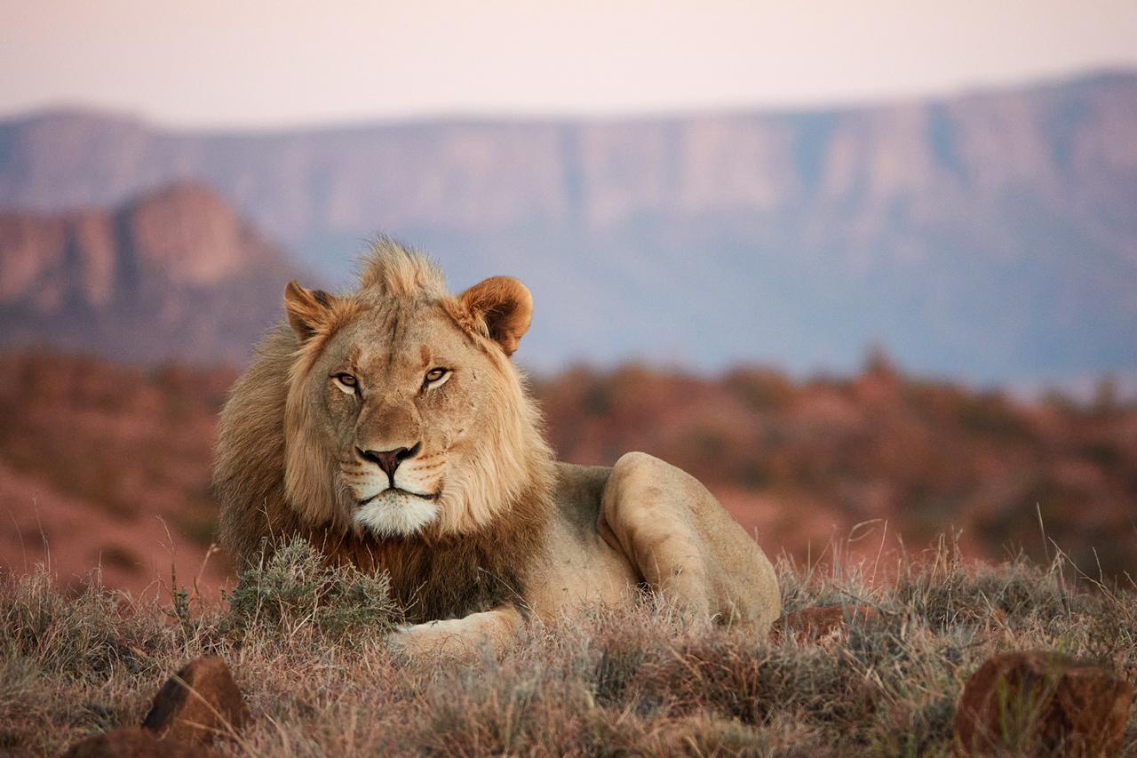 South Africa Adventures