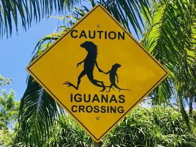 Belize signs land_converted