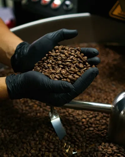 Costa Rica coffee beans port_converted