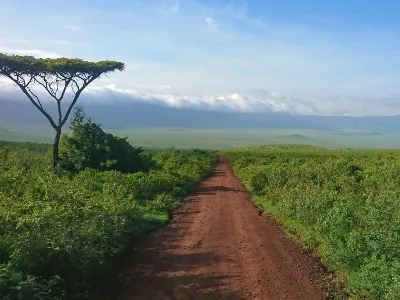 Tanzania safari