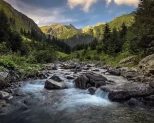 Conservation & Controversy In Romania’s Carpathian Mountains