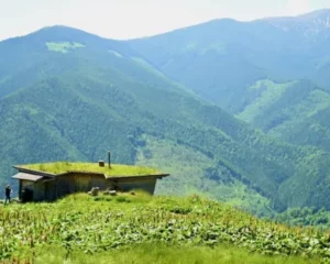 Europes rival of Yellowstone National Park home to wild bears and Dracula
