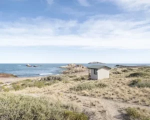 In A Lesser-Known Part of Patagonia, Tourism is Helping Keep the Coastline Wild