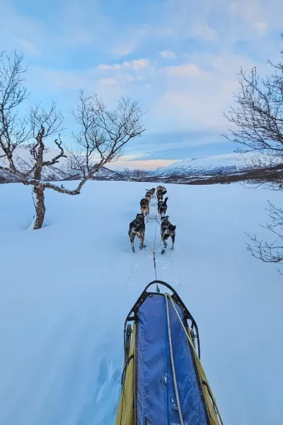 Winter activities in Norway Traveling with the snow Dogs